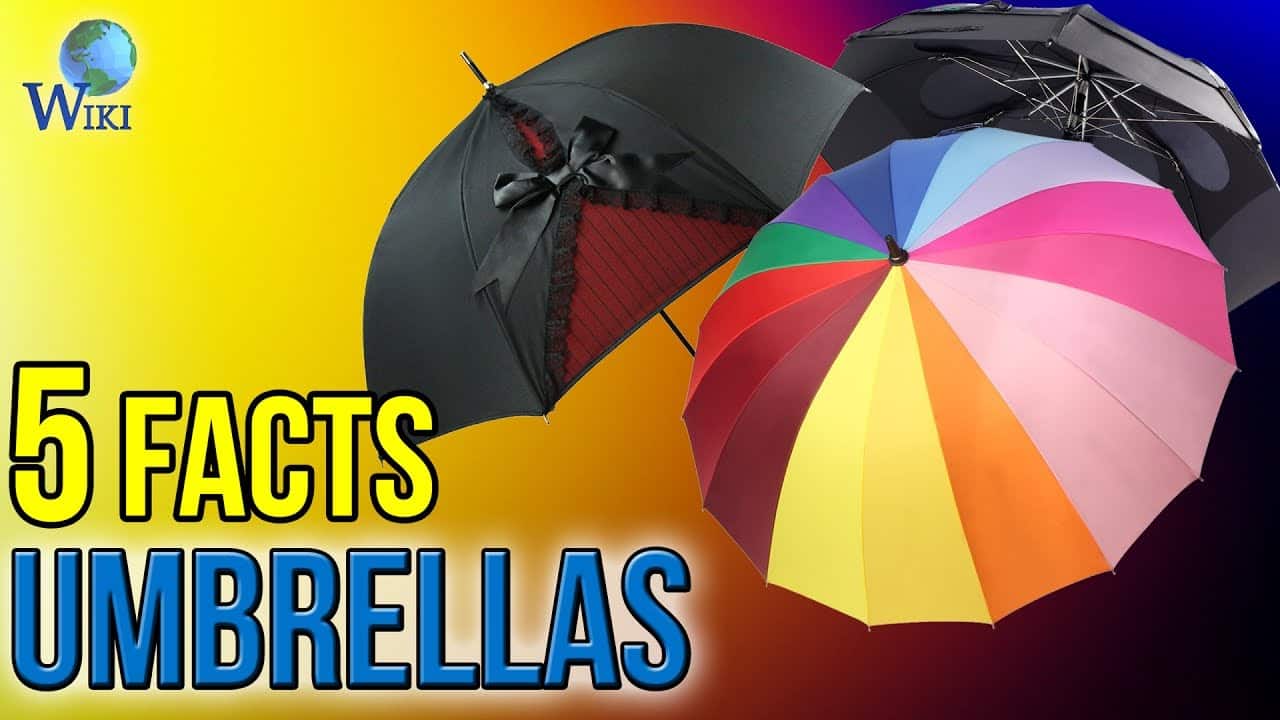 Video Thumbnail: Umbrellas: 5 Fast Facts